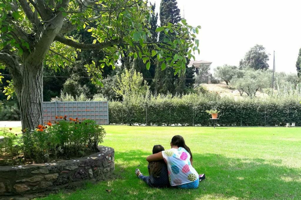 Hébergement de vacances A House Between Ancient Olympia And The Ionian Sea Levendokhórion